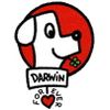 Logo of the association Darwin Forever